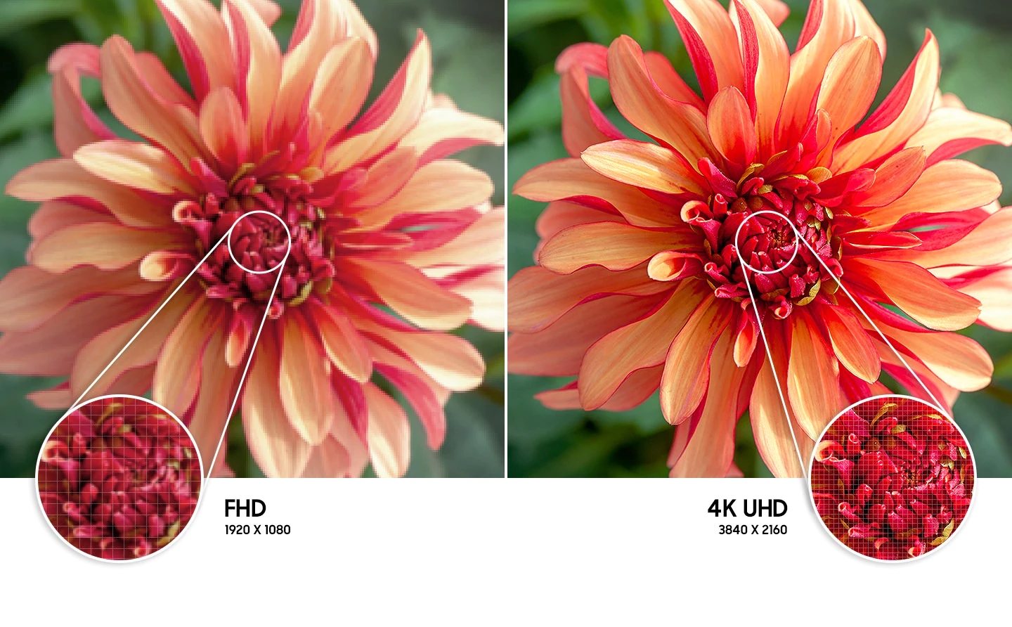  levant-feature-feel-the-reality-of-4k-uhd-resolution-393067048
